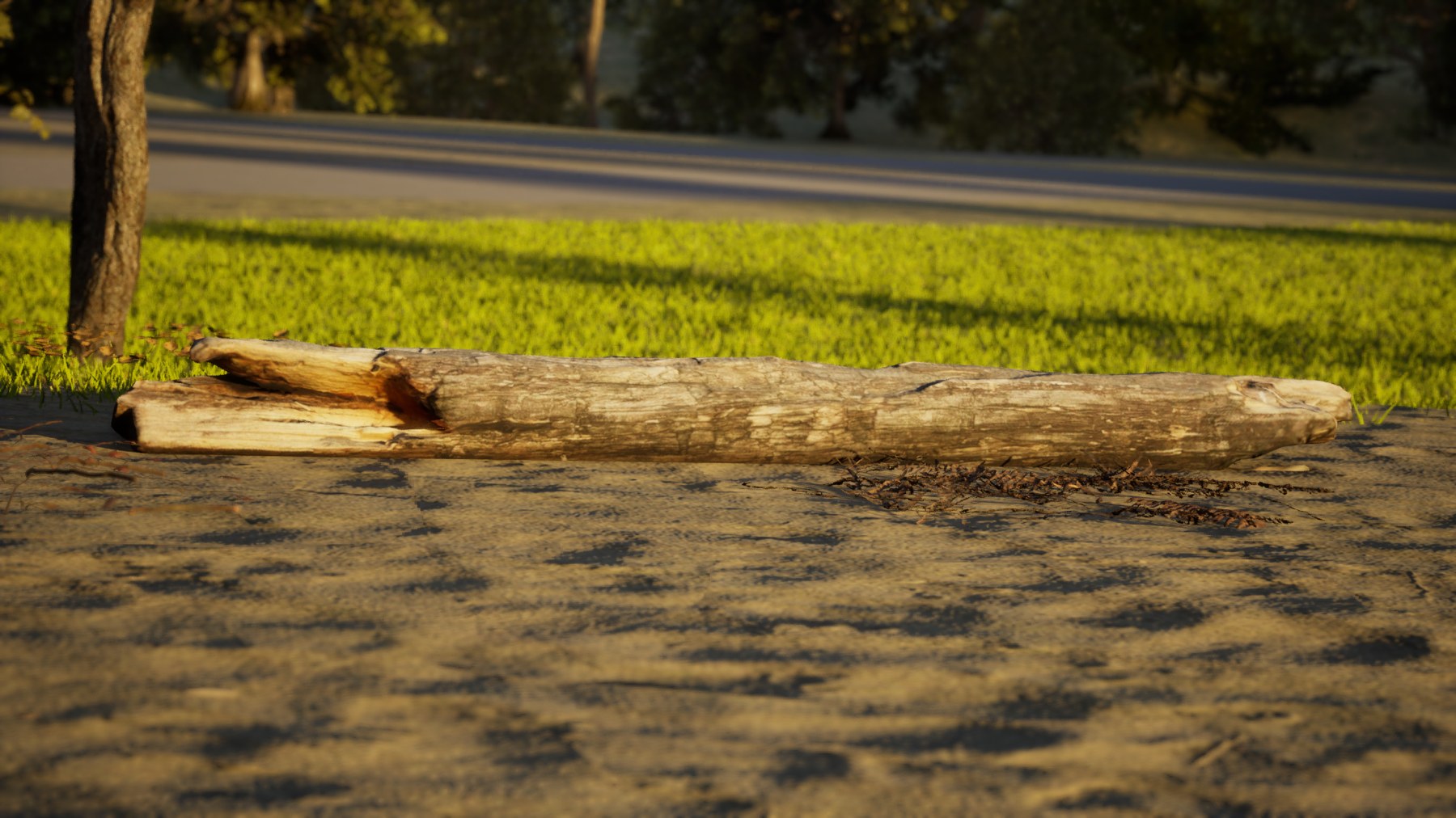 A photogrammetry-scanned fallen tree trunk rendered in Unreal Engine: bark texture, broken-end grain detail, and warm rim lighting against sandy ground